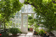 free Cary Fitzpaine orangery quotes